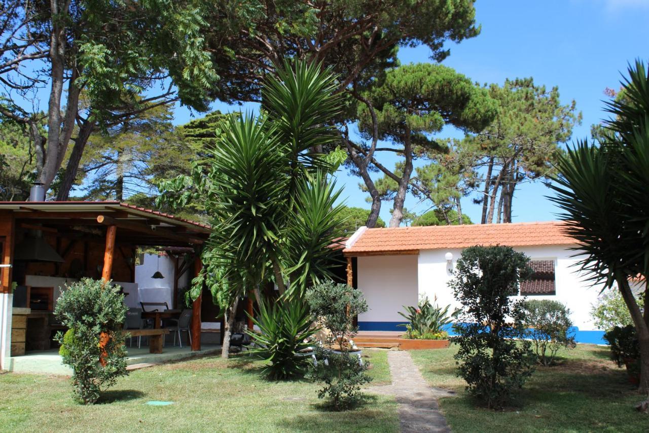 Villa Casinha Do Pinhal Colares Exterior foto