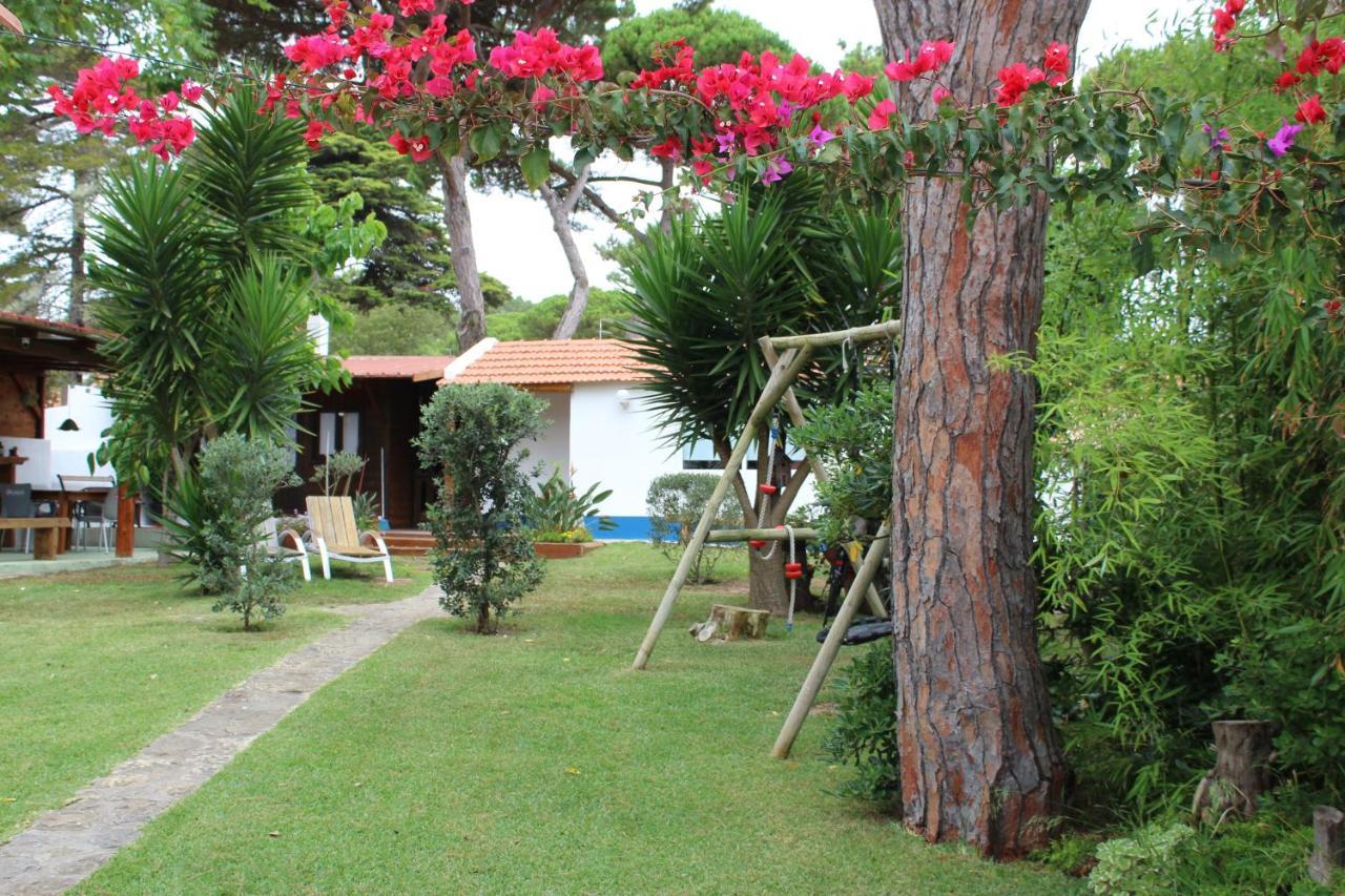 Villa Casinha Do Pinhal Colares Exterior foto